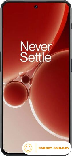 OnePlus Nord 3 16GB/256GB Темно-серый