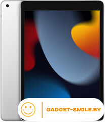 Планшет Apple iPad 10.2 2021 256GB Wi-Fi Серебристый