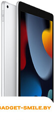 Планшет Apple iPad 10.2 2021 256GB Wi-Fi Серебристый