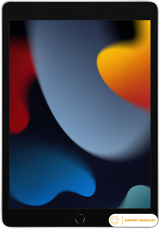 Планшет Apple iPad 10.2 2021 256GB Wi-Fi Серебристый
