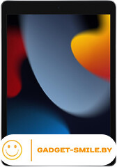 Планшет Apple iPad 10.2 2021 256GB Wi-Fi Серый