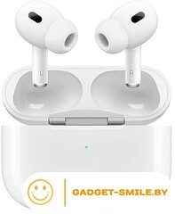 Наушники Apple AirPods Pro 2 с разъемом USB Type-C