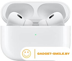 Наушники Apple AirPods Pro 2 с разъемом USB Type-C