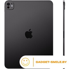 Планшет Apple iPad Pro 11 2024 1TB Черный космос (MVVE3)
