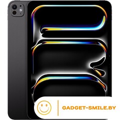 Планшет Apple iPad Pro 11 2024 256GB Черный космос (MVV83)