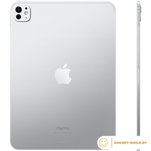 Планшет Apple iPad Pro 11 2024 5G 1TB Серебристый (MVW63)