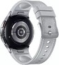 Samsung Galaxy Watch6 Classic 43мм LTE Серебристый
