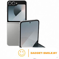 Samsung Galaxy Z Flip6 12GB/256GB Серый
