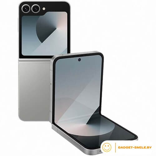 Samsung Galaxy Z Flip6 12GB/256GB Серый
