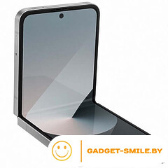 Samsung Galaxy Z Flip6 12GB/512GB Серый