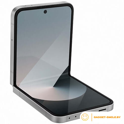 Samsung Galaxy Z Flip6 12GB/512GB Серый