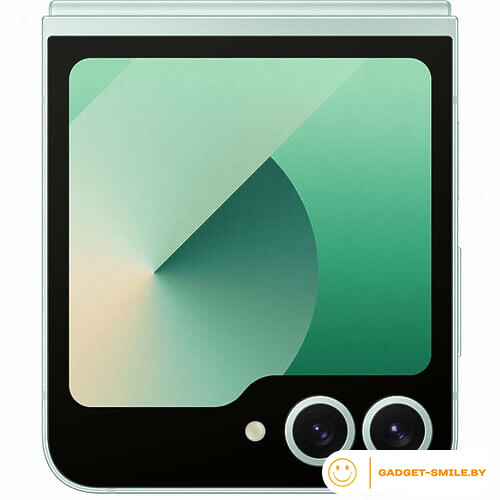 Samsung Galaxy Z Flip6 12GB/512GB Мятный