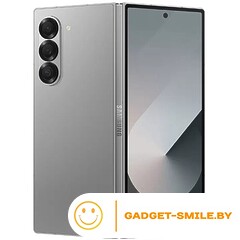 Samsung Galaxy Z Fold6 12GB/512GB Серый