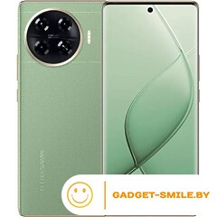 Tecno Spark 20 Pro+ 8GB/256GB Зелёная планета