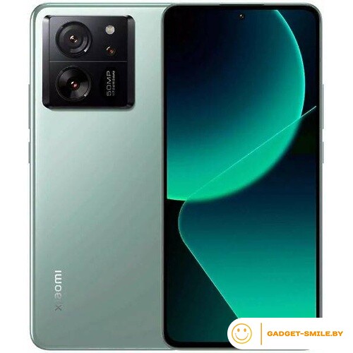 Xiaomi 13T 12GB/256GB Зеленый луг
