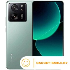 Xiaomi 13T 8GB/256GB Зеленый луг