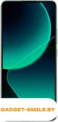 Xiaomi 13T 8GB/256GB Зеленый луг