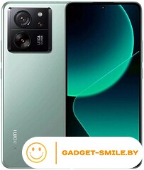 Xiaomi 13T Pro 12GB/256GB Зеленый луг