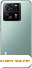 Xiaomi 13T Pro 12GB/256GB Зеленый луг
