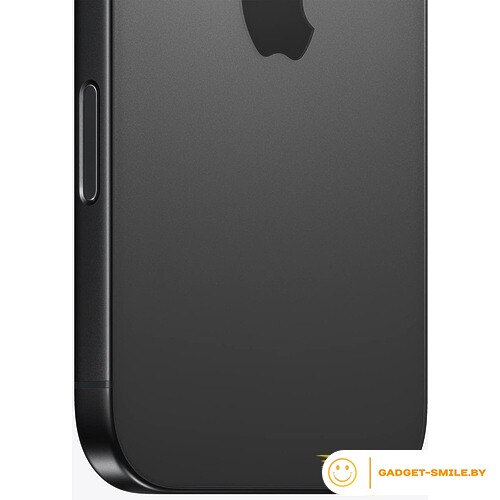 Apple iPhone 16 Pro 256GB Черный титан