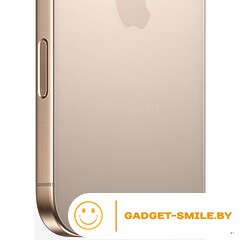 Apple iPhone 16 Pro 256GB Пустынный титан