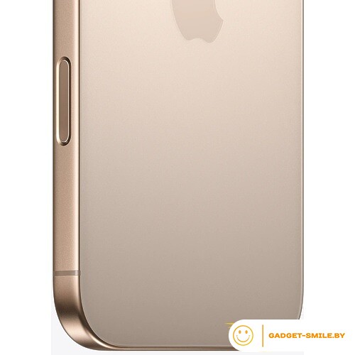Apple iPhone 16 Pro 256GB Пустынный титан
