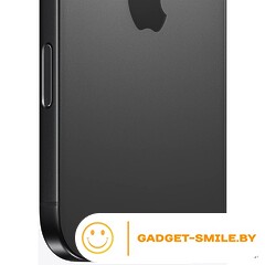 Apple iPhone 16 Pro Max 256GB Черный титан