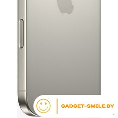 Apple iPhone 16 Pro Max 256GB Природный титан