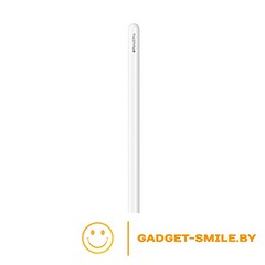 Apple Pencil Pro (MX2D3)