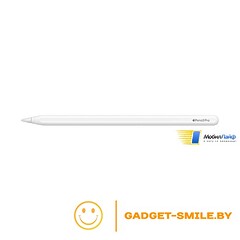 Apple Pencil Pro (MX2D3)