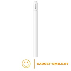 Apple Pencil USB-C MUWA3