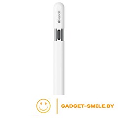 Apple Pencil USB-C MUWA3