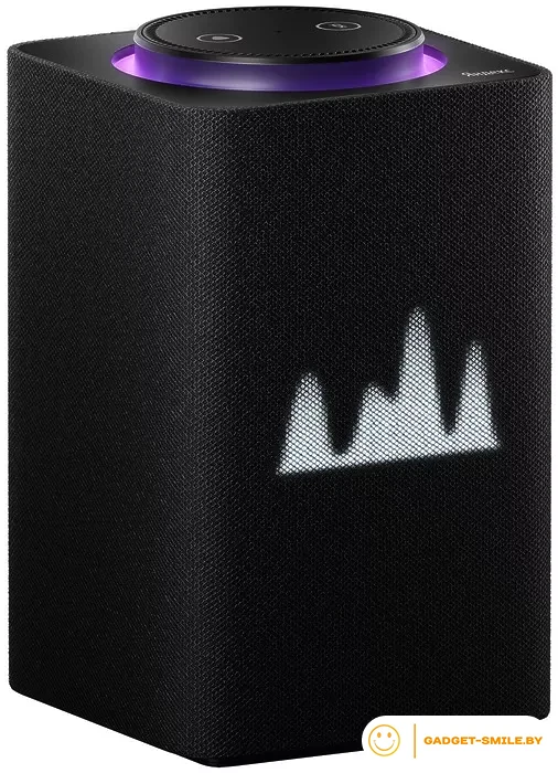 Умная колонка Яндекс Станция Макс (с хабом умного дома Zigbee, черный)