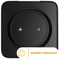 Умная колонка Яндекс Станция Макс (с хабом умного дома Zigbee, черный)