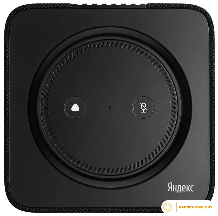 Умная колонка Яндекс Станция Макс (с хабом умного дома Zigbee, черный)