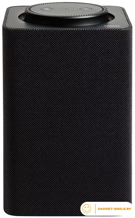 Умная колонка Яндекс Станция Макс (с хабом умного дома Zigbee, черный)