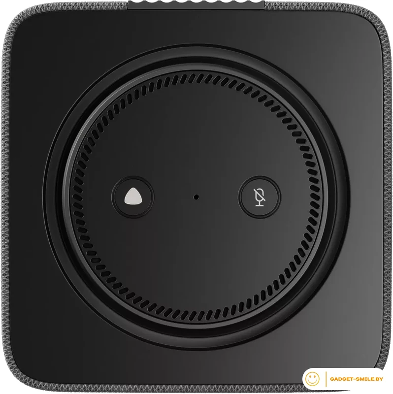 Умная колонка Яндекс Станция Макс (с хабом умного дома Zigbee, графит)