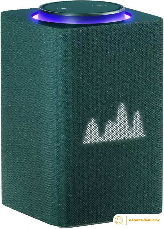 Умная колонка Яндекс Станция Макс (с хабом умного дома Zigbee, зеленый)