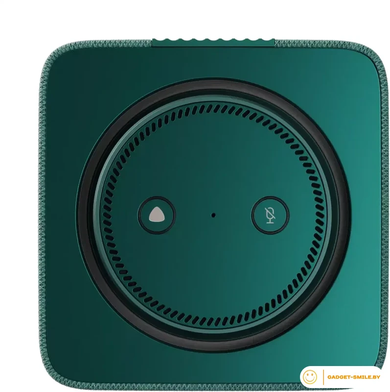 Умная колонка Яндекс Станция Макс (с хабом умного дома Zigbee, зеленый)